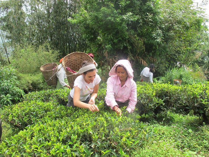 Allein reisende Frauen in Indien - Indien Kleidung beim Arbeiten