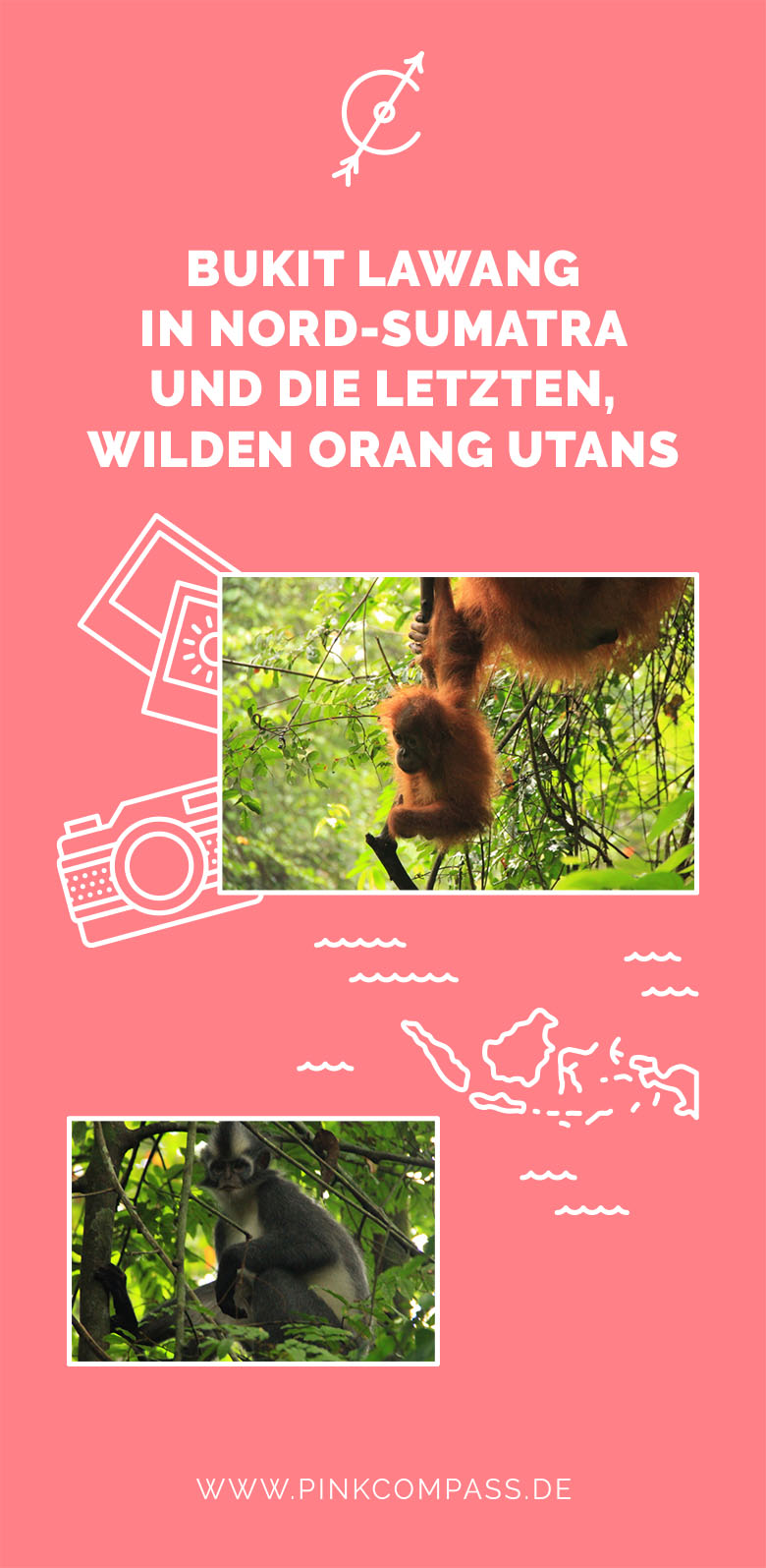 Bukit Lawang in Nord-Sumatra und die letzten wilden Orang Utans-PinkCompass-pink