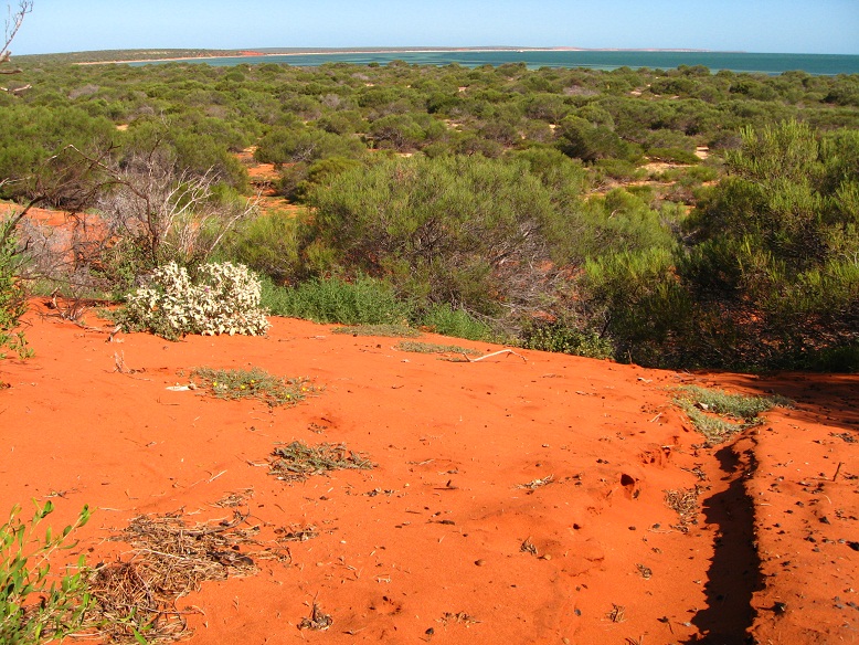Was kosten 2 Monate Australien - Westküste