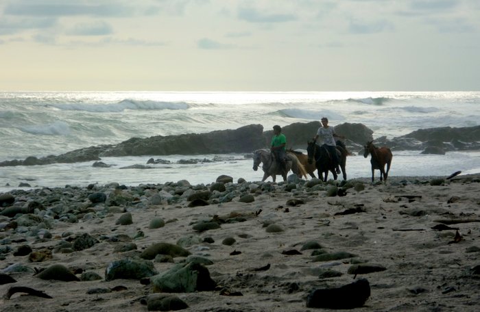 Costa Rica Urlaub Kosten- Reiten