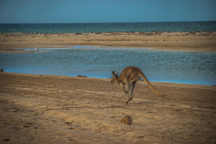 Australien