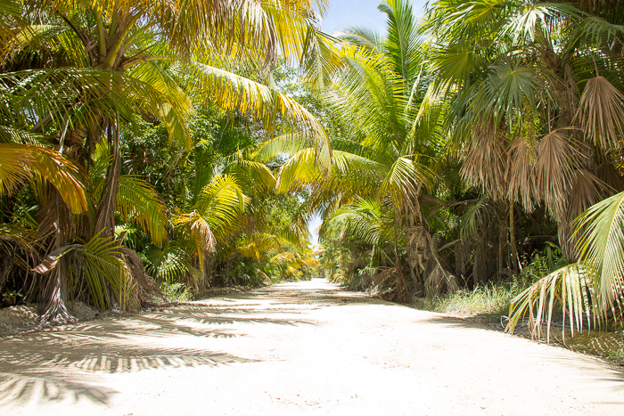 mexiko_tulum_08-2016-1-4