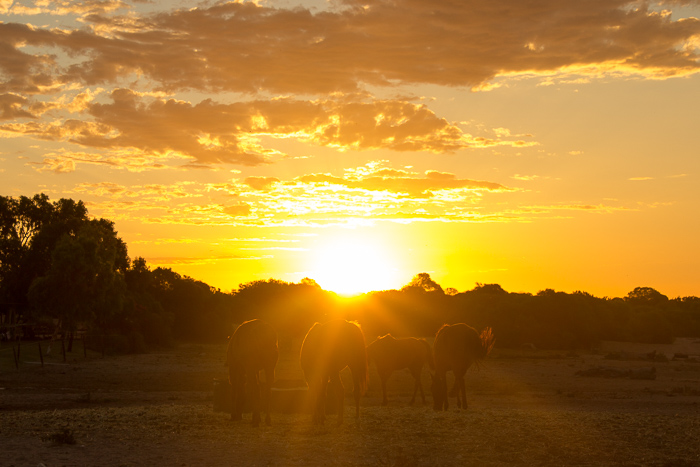 22places Fotokurs Erfahrungen mit Sonnenuntergang