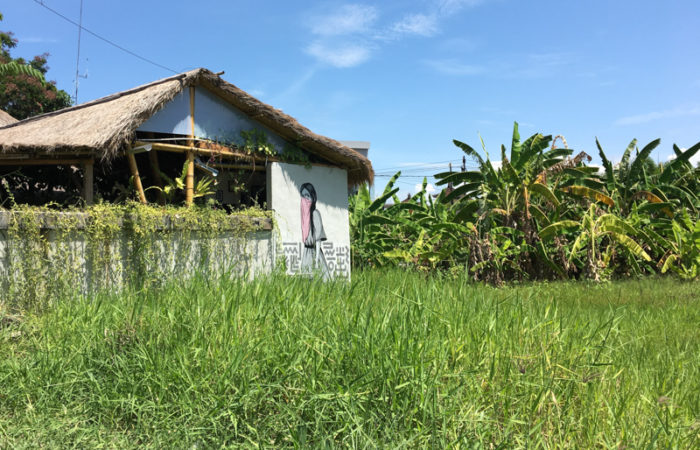 Sicherheit-Alleinreisende-Bali