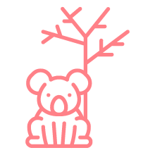 PinkCompass_Icons_Australien-Koala