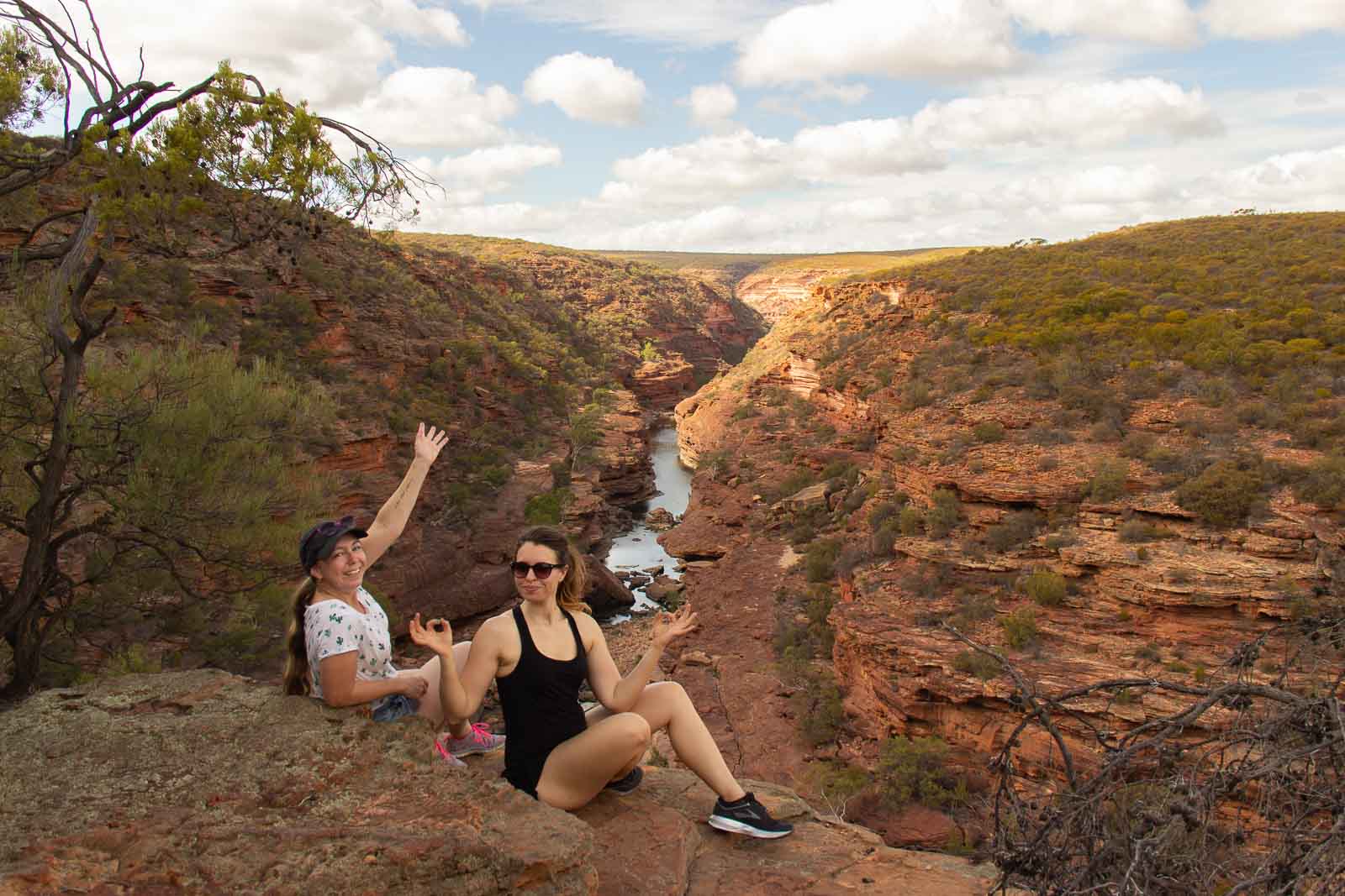 PinkCompass_W-Australien_Carinas