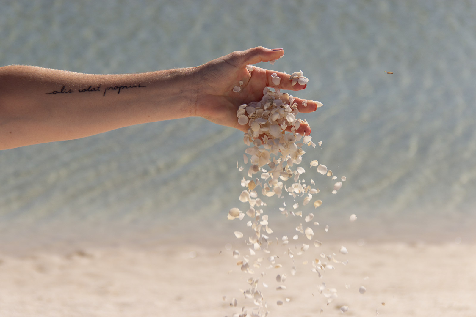 PinkCompass_W-Australien_ShellBeach