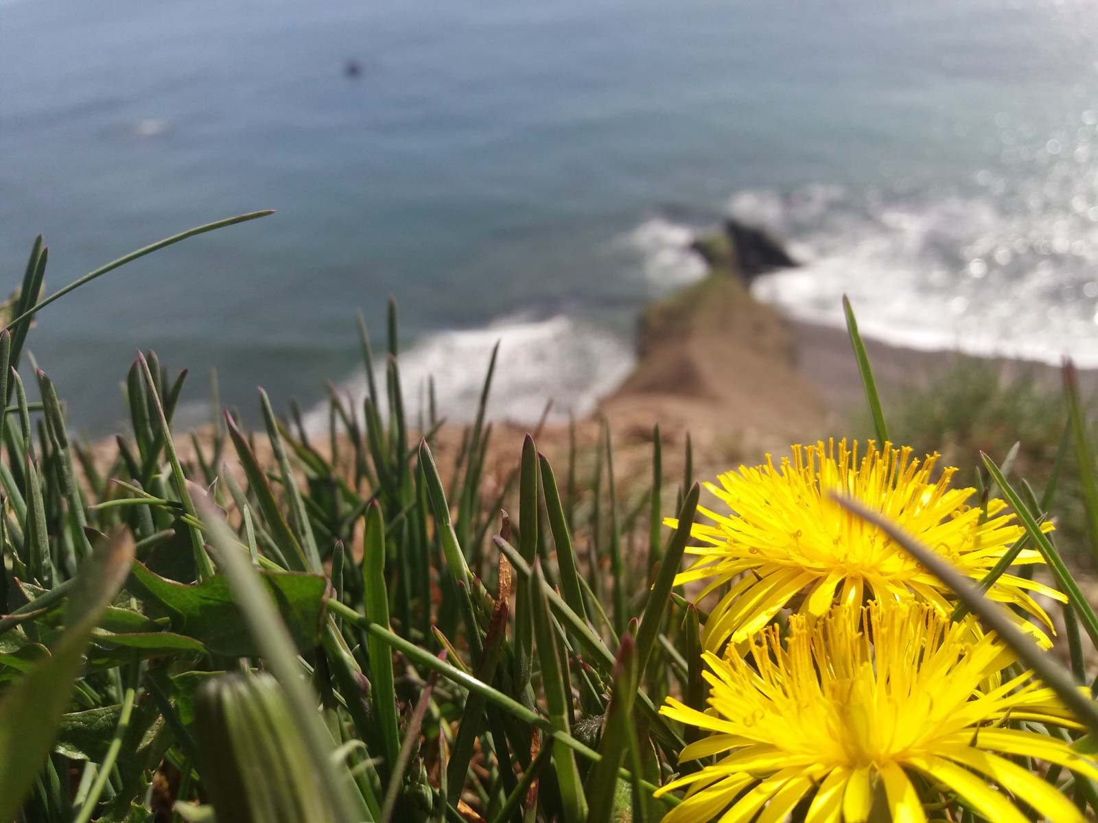 PinkCompass_Gastartikel-Freiwilligenarbeit_Ausblick-Meer